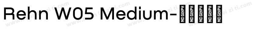 Rehn W05 Medium字体转换